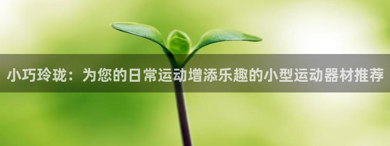 征途国际招商电话是多少啊：小巧玲珑：为您的日常运动增添乐趣的