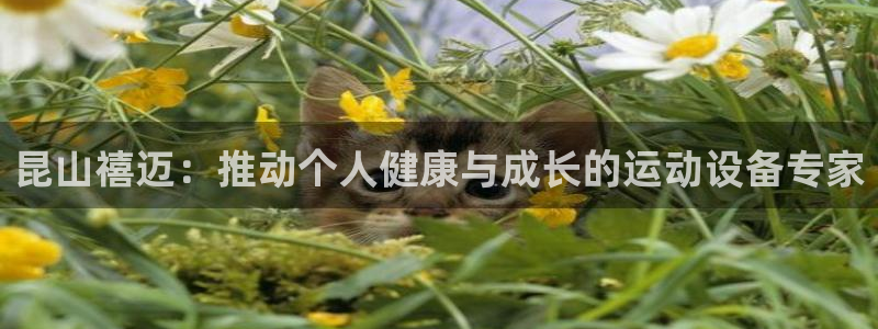 征途国际招商电话地址查询