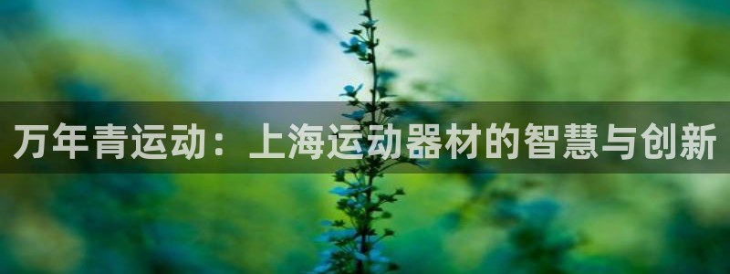 征途国际集团简介：万年青运动：上海运动器材的智慧与创新