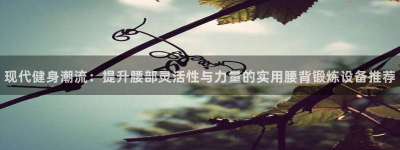 德国征途国际集团：现代健身潮流：提升腰部灵活性与力量的实用腰