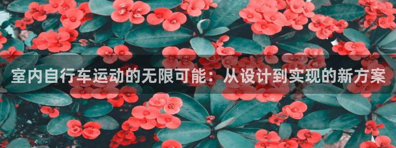 征途国际集团官网首页网址：室内自行车运动的无限可能：