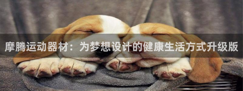 征途国际平台是正规平台吗知乎