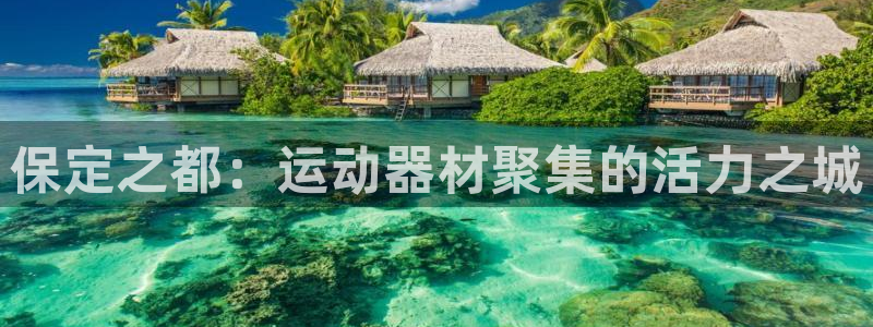 征途国际招商：保定之都：运动器材聚集的活力之城