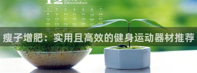 征途国际官方：瘦子增肥：实用且高效的健身运动器材推荐