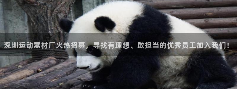 征途国际娱乐40996：深圳运动器材厂火热招募，寻找有理想、