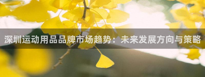 征途国际集团E.ON：深圳运动用品品牌市场趋势：未来