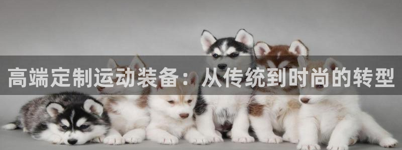征途国际娱乐代理怎么样：高端定制运动装备：从传统到时