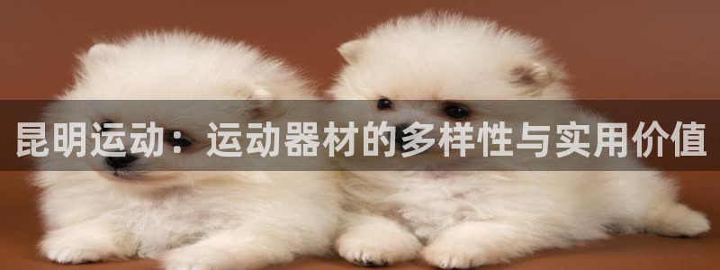 征途国际招商电话号码查询:昆明运动:运动器材的多样性与实用价