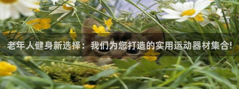 征途国际娱乐：老年人健身新选择：我们为您打造的实用运动器材集